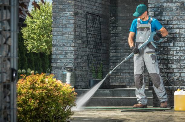 Best Animal Enclosure Cleaning  in De Leon Springs, FL